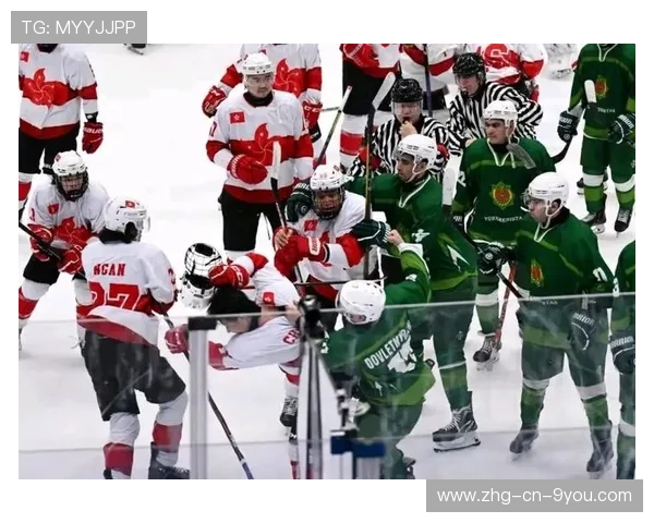 冰球比赛爆发群殴，裁判被推倒