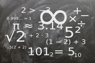 九游娱乐网站-中小学体育课程教学内容优化研究，中小学体育教学内容的衔接研究