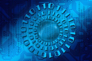 九游体育下载-大数据应用助力训练科学管理，大数据在训练管理中的应用