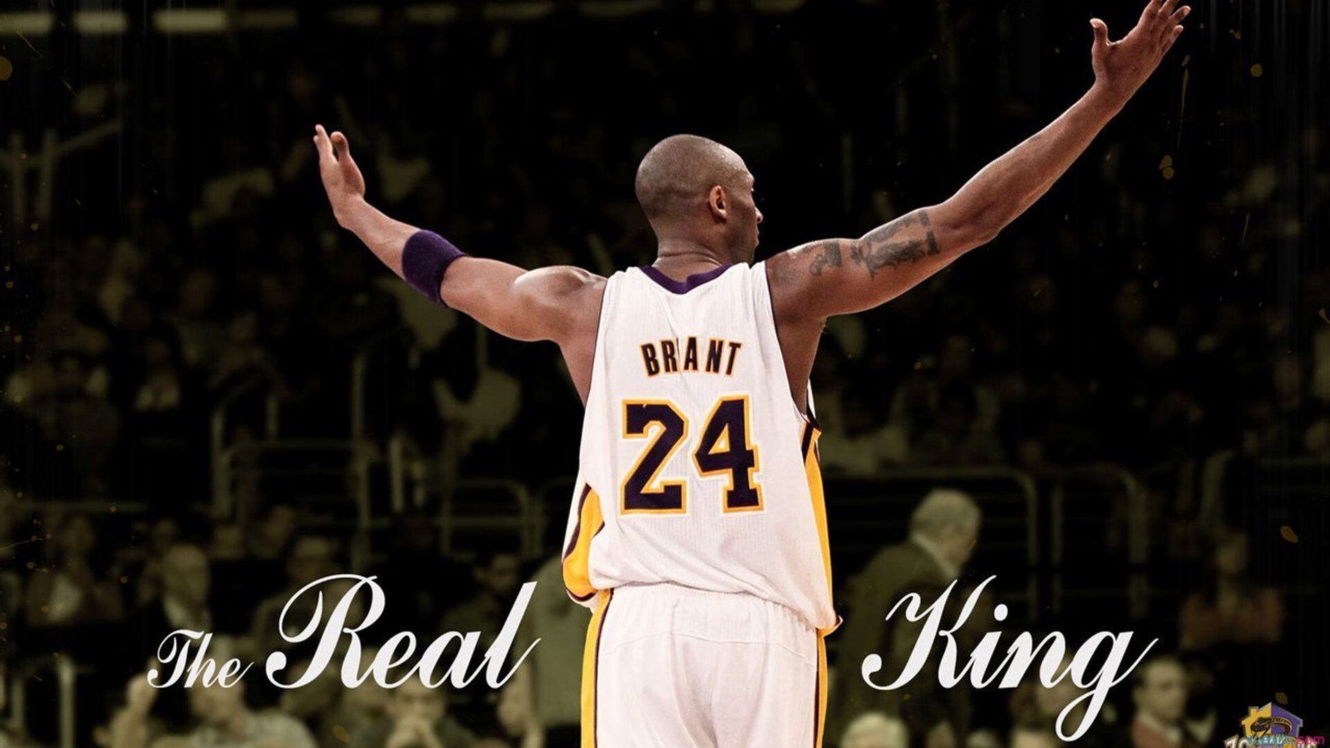 “华金·托比利亚的精准拦截与敏捷反应，带领阿根廷美洲狮队不断突破”